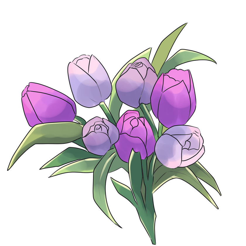Tulip Flower