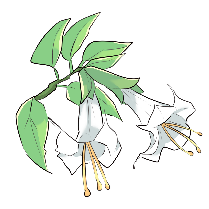 Angel's terumphet